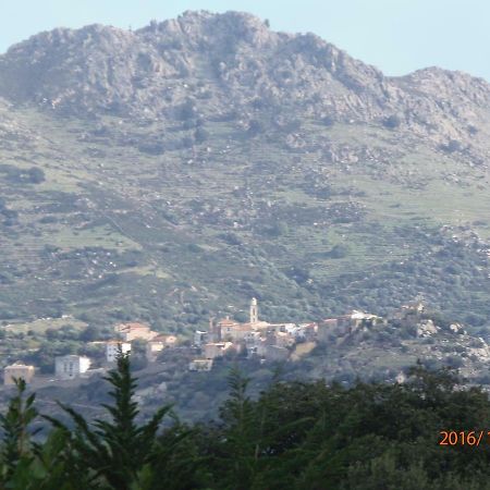 Mini Villa Marcel Classee 3 Etoiles Calenzana Exterior photo