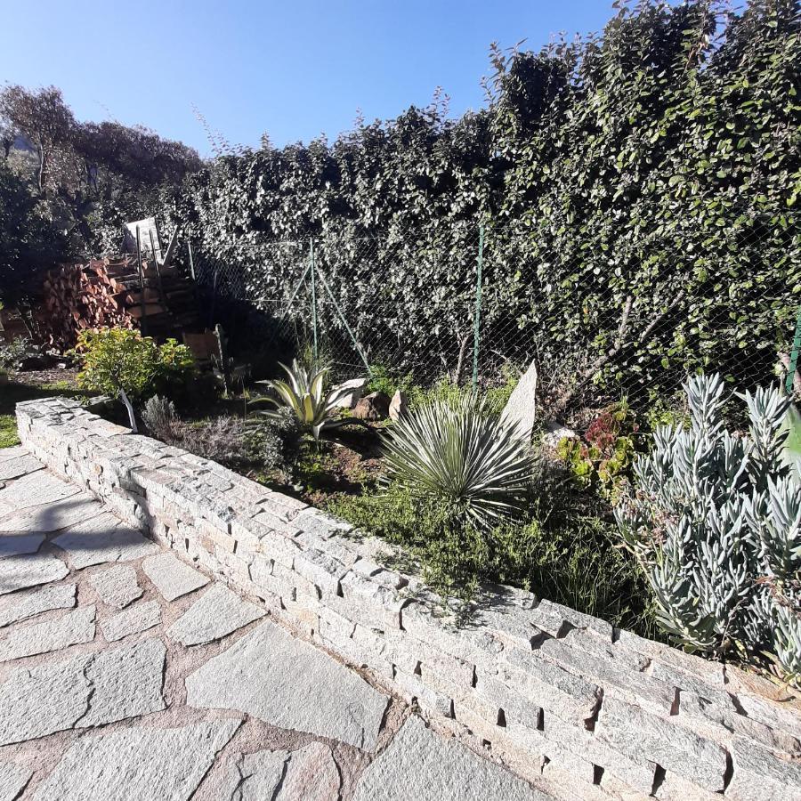 Mini Villa Marcel Classee 3 Etoiles Calenzana Exterior photo