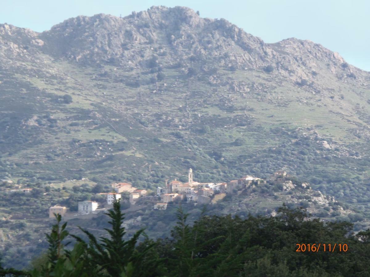 Mini Villa Marcel Classee 3 Etoiles Calenzana Exterior photo